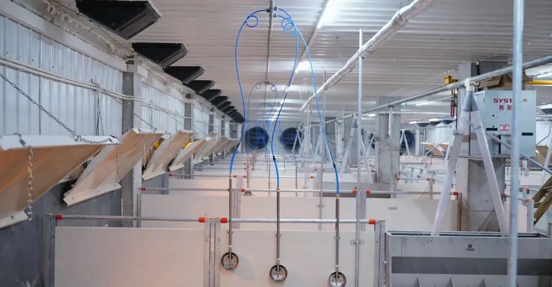 海盐县利用RFID、GPS等技术赋能打造百亿级生猪全产业链共富样板(图8) 海盐县利用RFID、GPS等技术赋能打造百亿级生猪全产业链共富样板(图8)