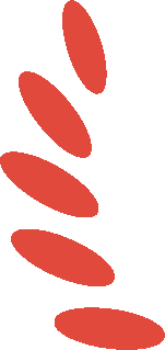 喜报 | 钧普科技荣获“专精特新”、“创新型”中小企业称号(图2) 640-4.png