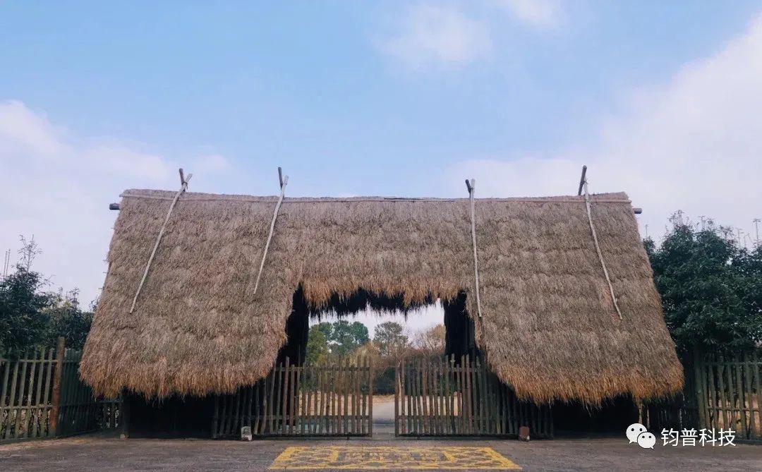 走,我们偷春光去~(图1) 图片