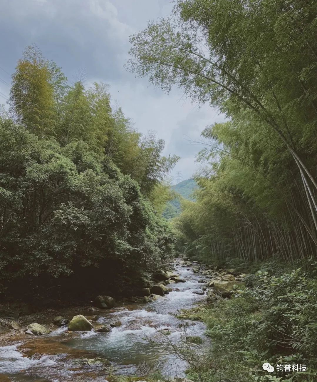 走,我们偷春光去~(图3) 图片